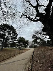 Rented by Pear NYC LLC