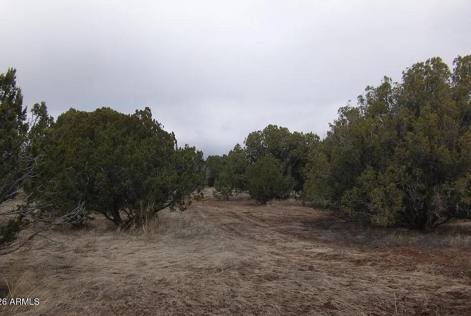 2nd image of 1862 Pronghorn Road #31