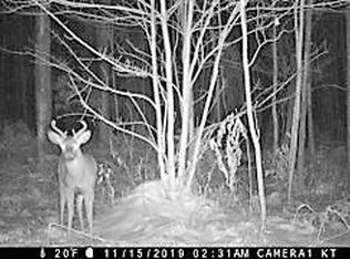 Friski Rd, Lachine, MI 49753