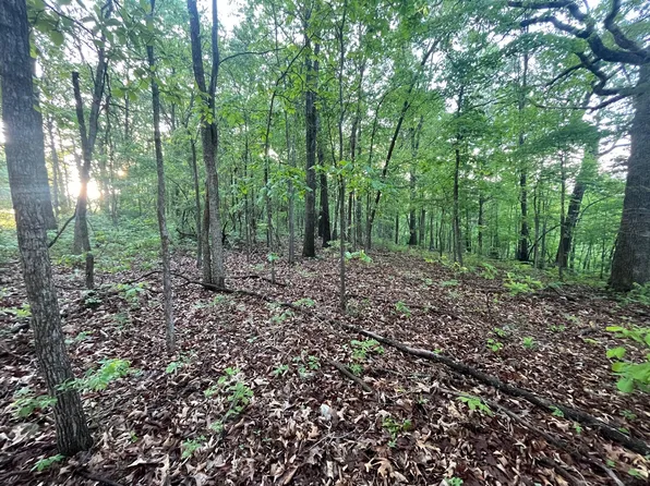 000 Farm Road 2170, Exeter, MO 65647