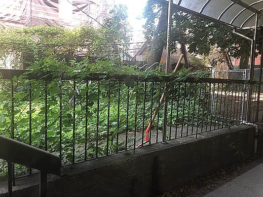 5th image of 7551 113th St APT 1