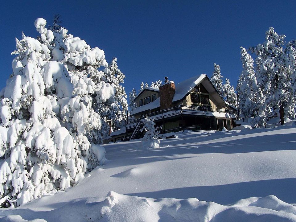 Wintery View