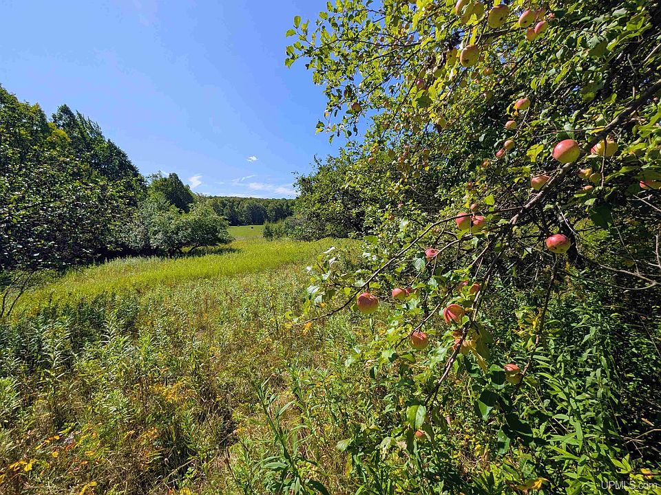 1st image of Chicagon Mine Rd
