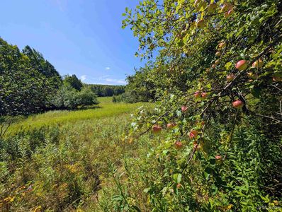 Chicagon Mine Rd, Iron River, MI, 49935