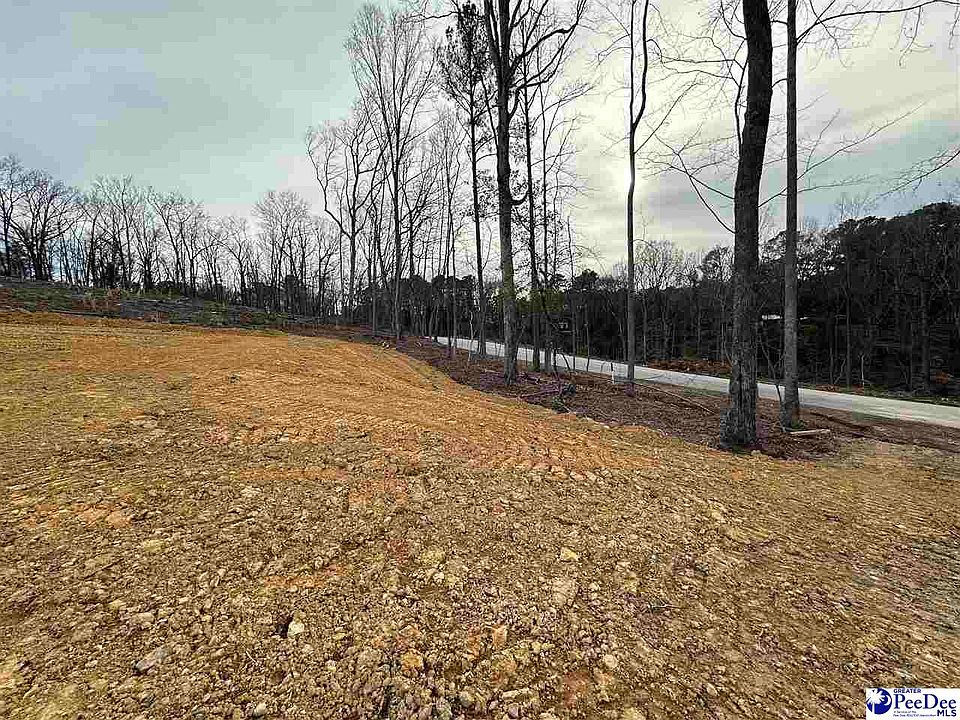 2nd image of 2.50 Ac Tract Green St