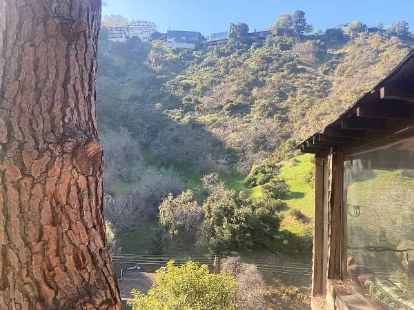 2252 Laurel Canyon Blvd — Photo 5