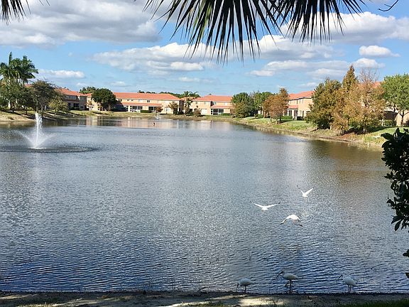 Lake view birdwatching