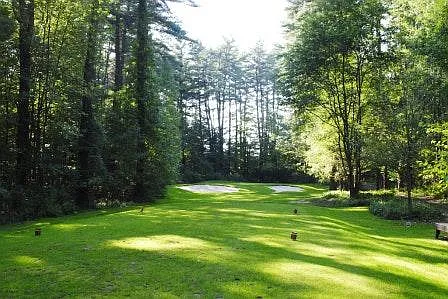 9 hole golf course