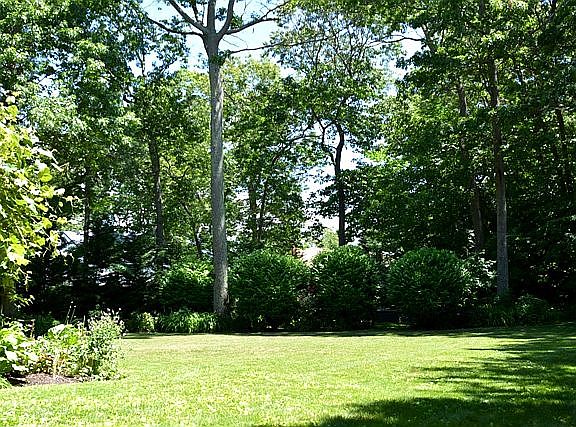 Main-side entrance-backyard