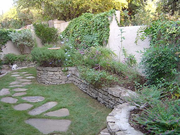 Back Garden