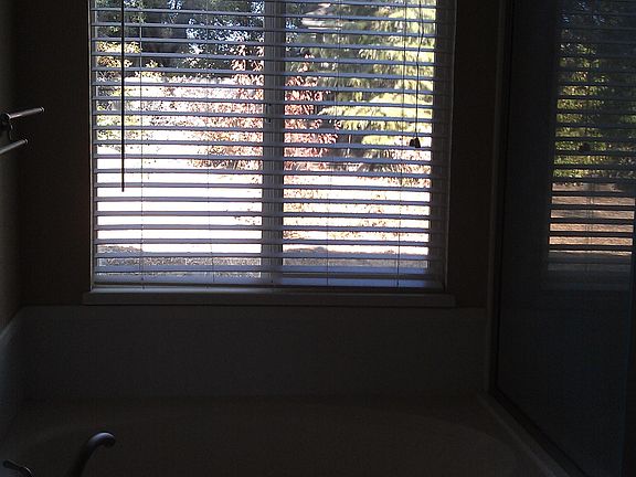 tub with arched window