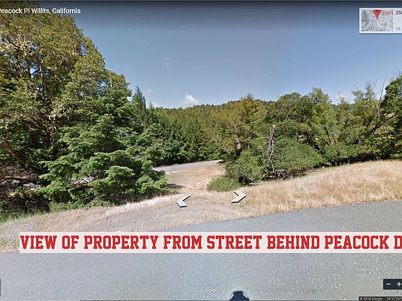2nd image of 2501 Peacock Dr
