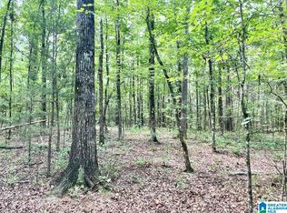 9 Highway 5 #13, West Blocton, AL 35184