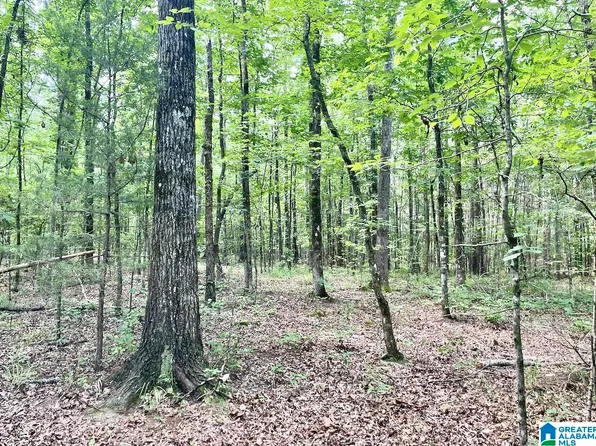 9 Highway 5 #13, West Blocton, AL 35184