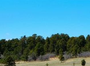 10525 S Forest Dr, Colorado Springs, CO 80908