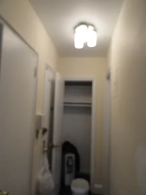 Rented by Manhattan Flats | media 43