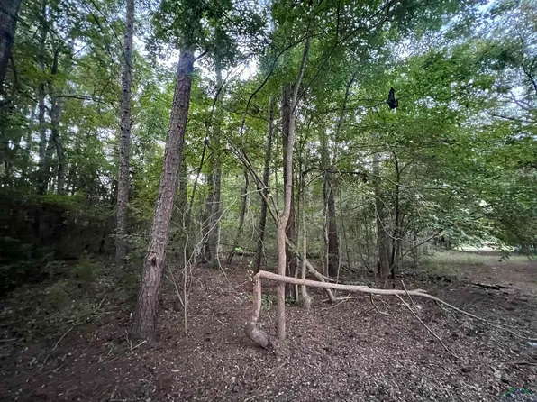 Cactuswood, Gilmer, TX 75645