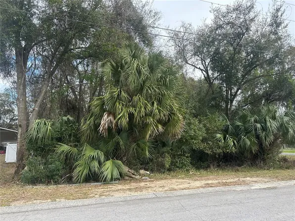 (undisclosed Address), Inverness, FL 34452