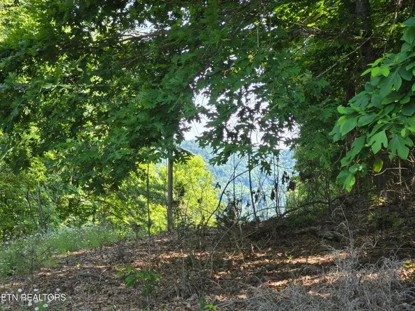 Union Church Rd, Thorn Hill, TN 37881