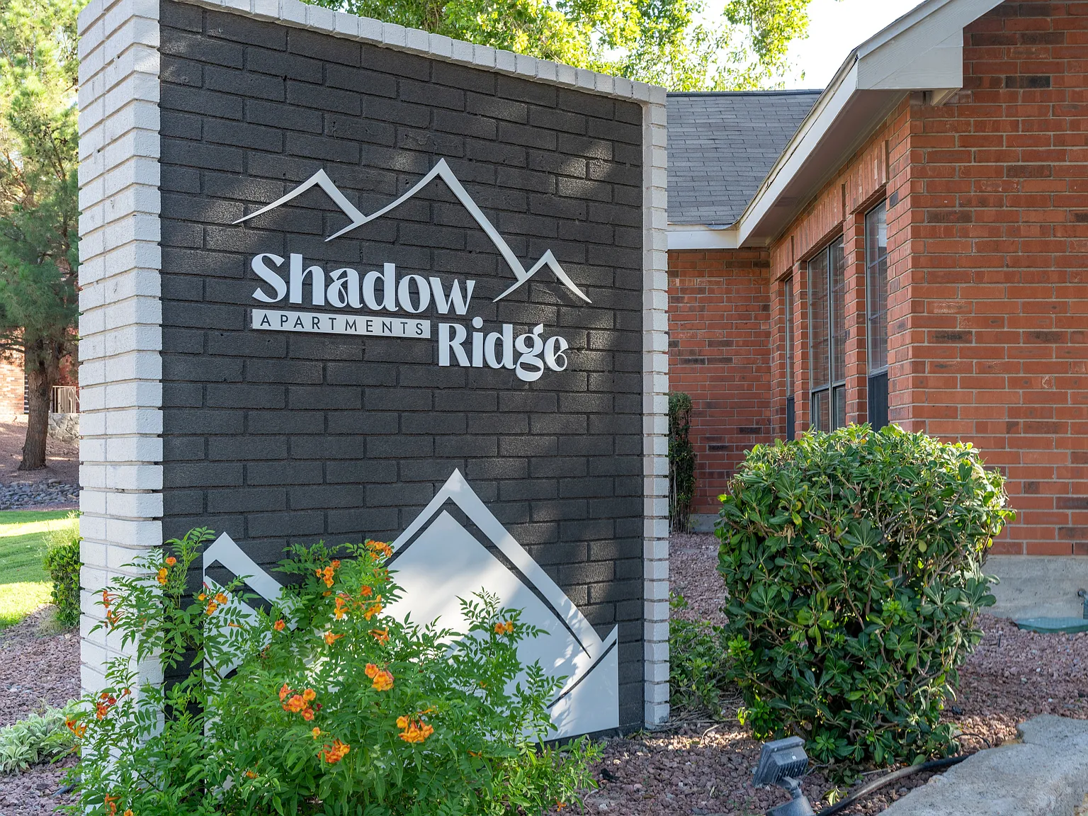 Shadow Ridge Apts. — Photo 1