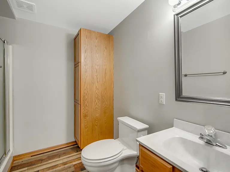 Lower level bathroom