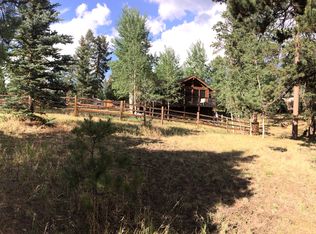 307 E Gunnison Ave, Woodland Park, CO 80863
