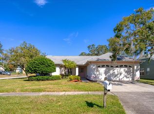 2931 Cara Ct, Palm Harbor, FL 34684