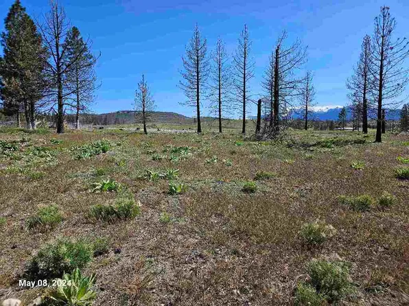 LOT 116 Buffalo Ct, Weed, CA 96094