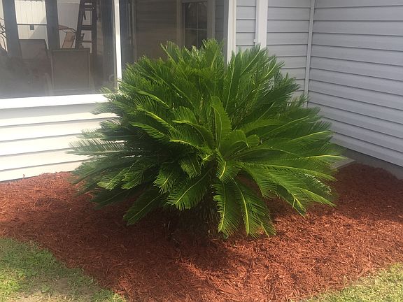 4th image of 247 S Teakwood Ct