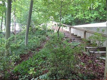 3rd image of 1366 Mockingbird Dr