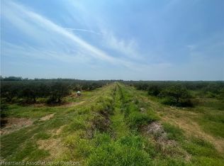 Schontag Rd, Wauchula, FL 33873