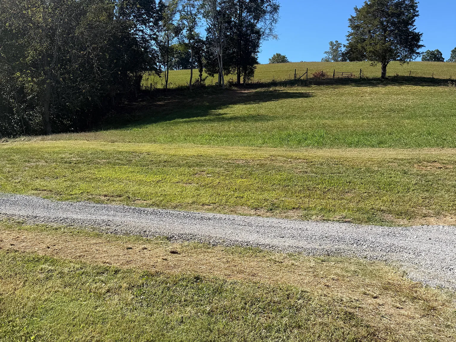 1 bed, 35 sqft, $800 — Photo 2