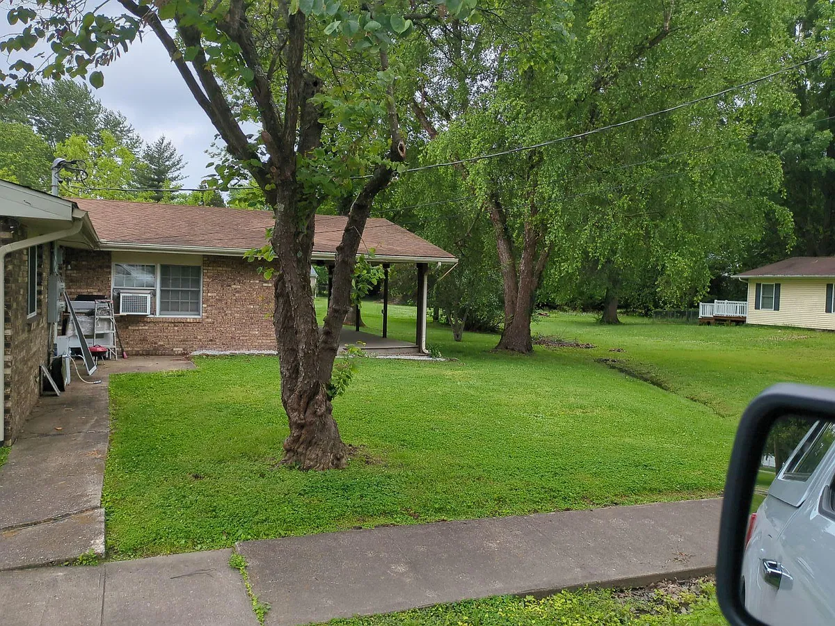 Backyard - 401 Willow St #B