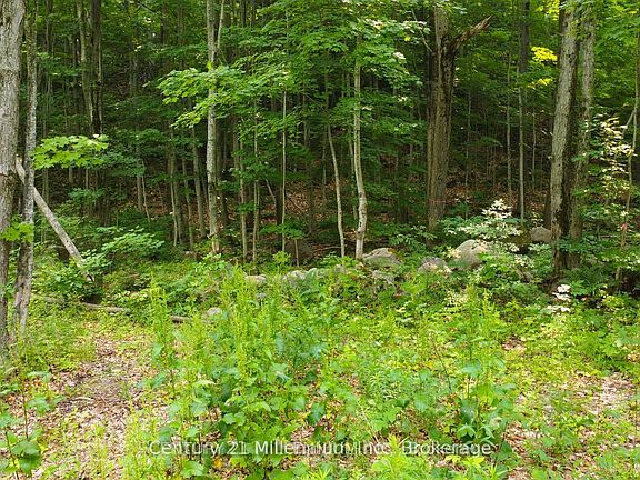 3rd image of 52 Tiny Beaches Rd N