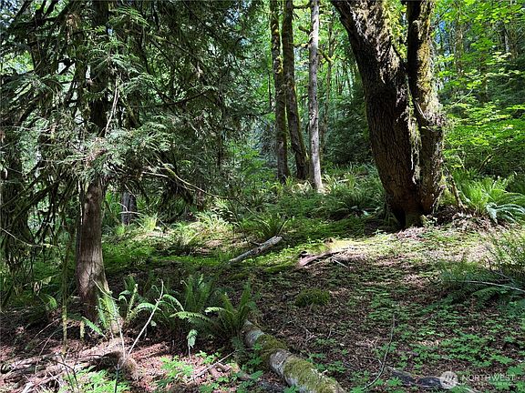 5th image of 1111 Mountain Trail Road