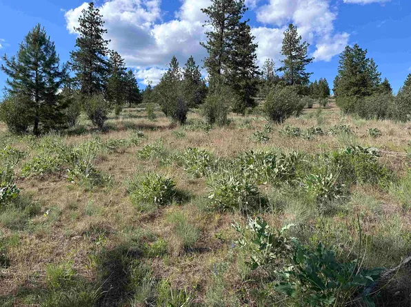 6581 Saddle Mountain Way, Deer Park, WA 99006