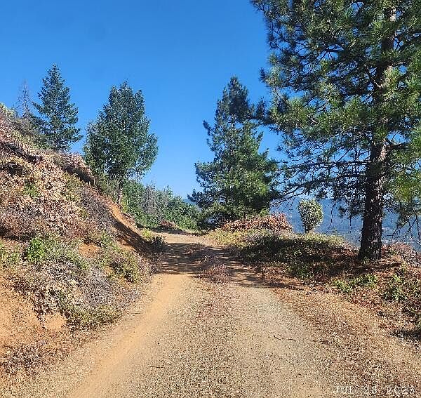 20 Elderberry Rd, Weaverville, CA 96093 MLS 233504 Zillow