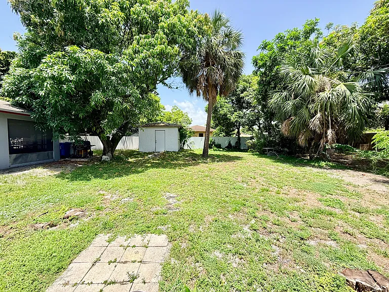 Backyard