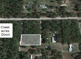 14252 NE 156th Ln, Fort McCoy, FL 32134
