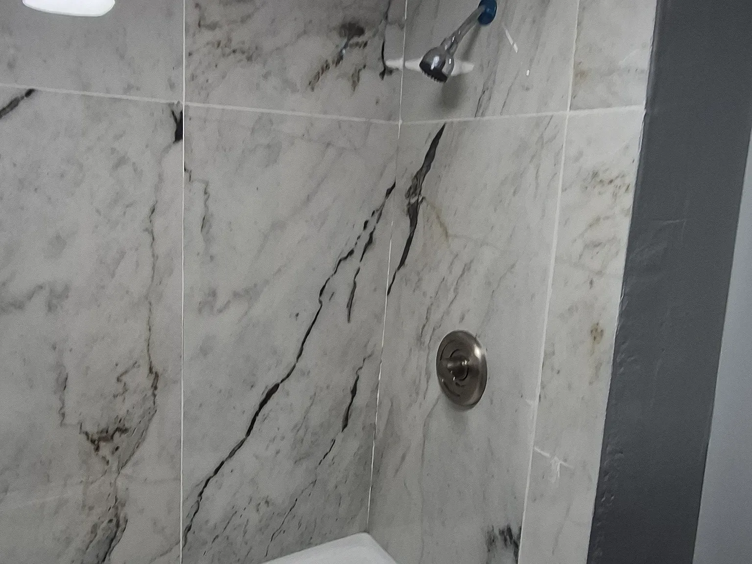 1 bed, 800 sqft, $1,750 — Photo 2