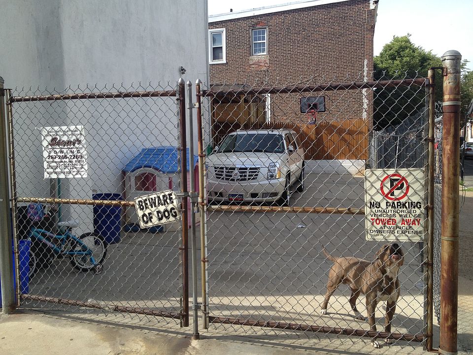 1st image of 313 E Ontario St