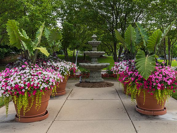 Fountain