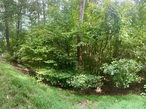 LOT 24 E Lot 25e Parkersville Rd Lot 26E, Eddyville, KY 42038