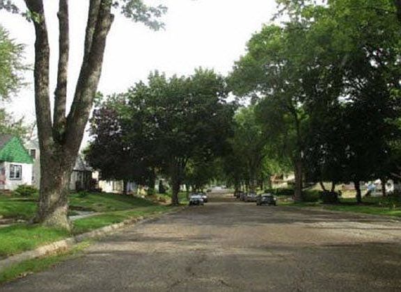 3rd image of 1029 Felix St
