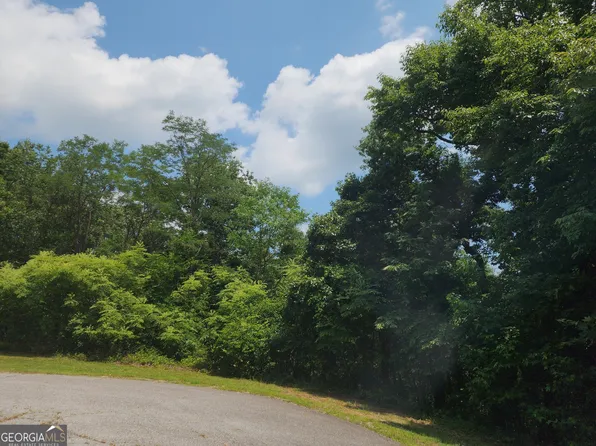 14 Little Eagle Mountain Rd, Clarkesville, GA 30523