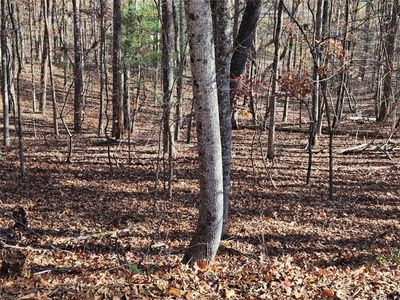 7629 Dogwood Way #X, Murrayville, GA, 30564