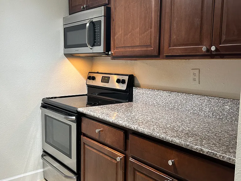 5221 Bayshore Blvd #51 — Photo 5