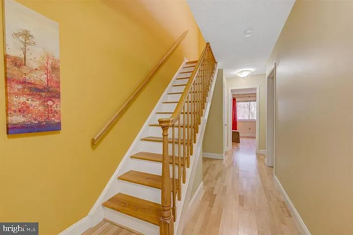17 Ashford Dr — Photo 27