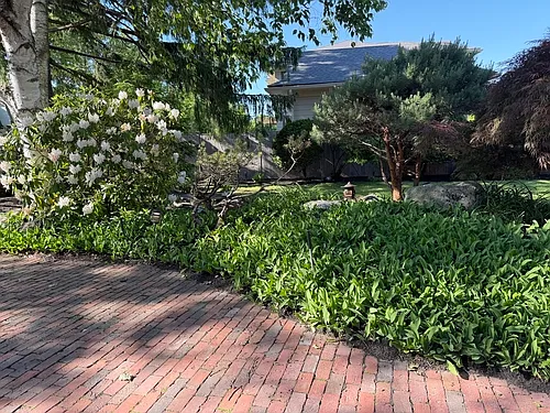 111 Nehoiden Rd #LOWER LEVEL — Photo 29
