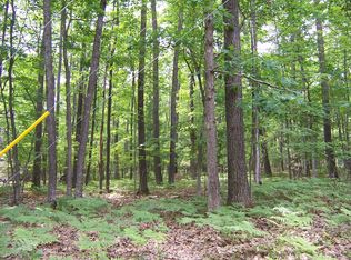 Lots 20 23 Boucher & Canton St, Roscommon, MI 48653